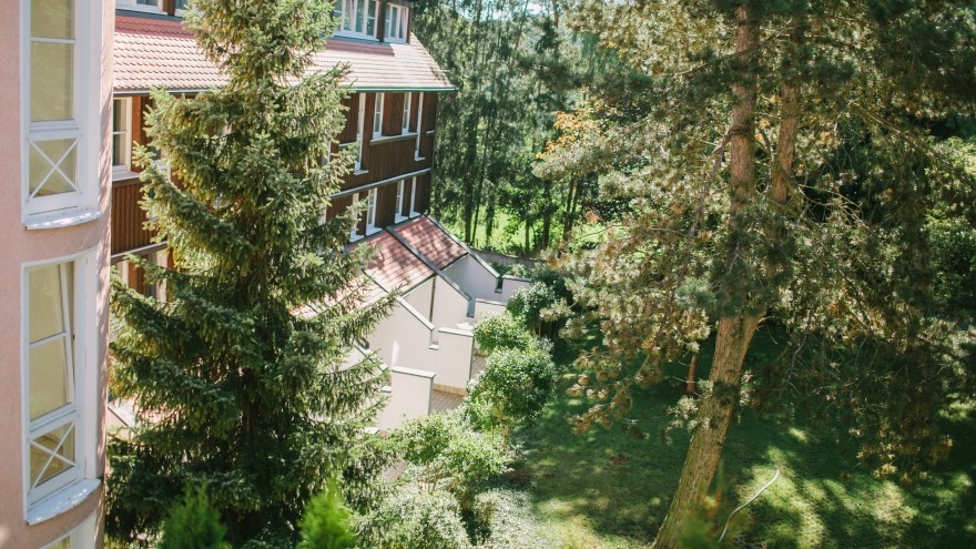 Der grüne Innenhof